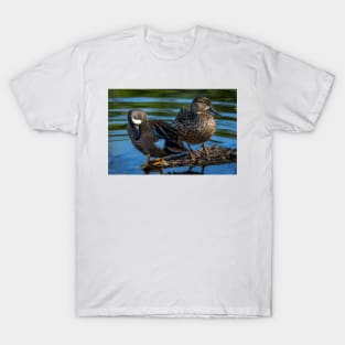 Blue-winged Teal Pair - Dabbling Ducks T-Shirt